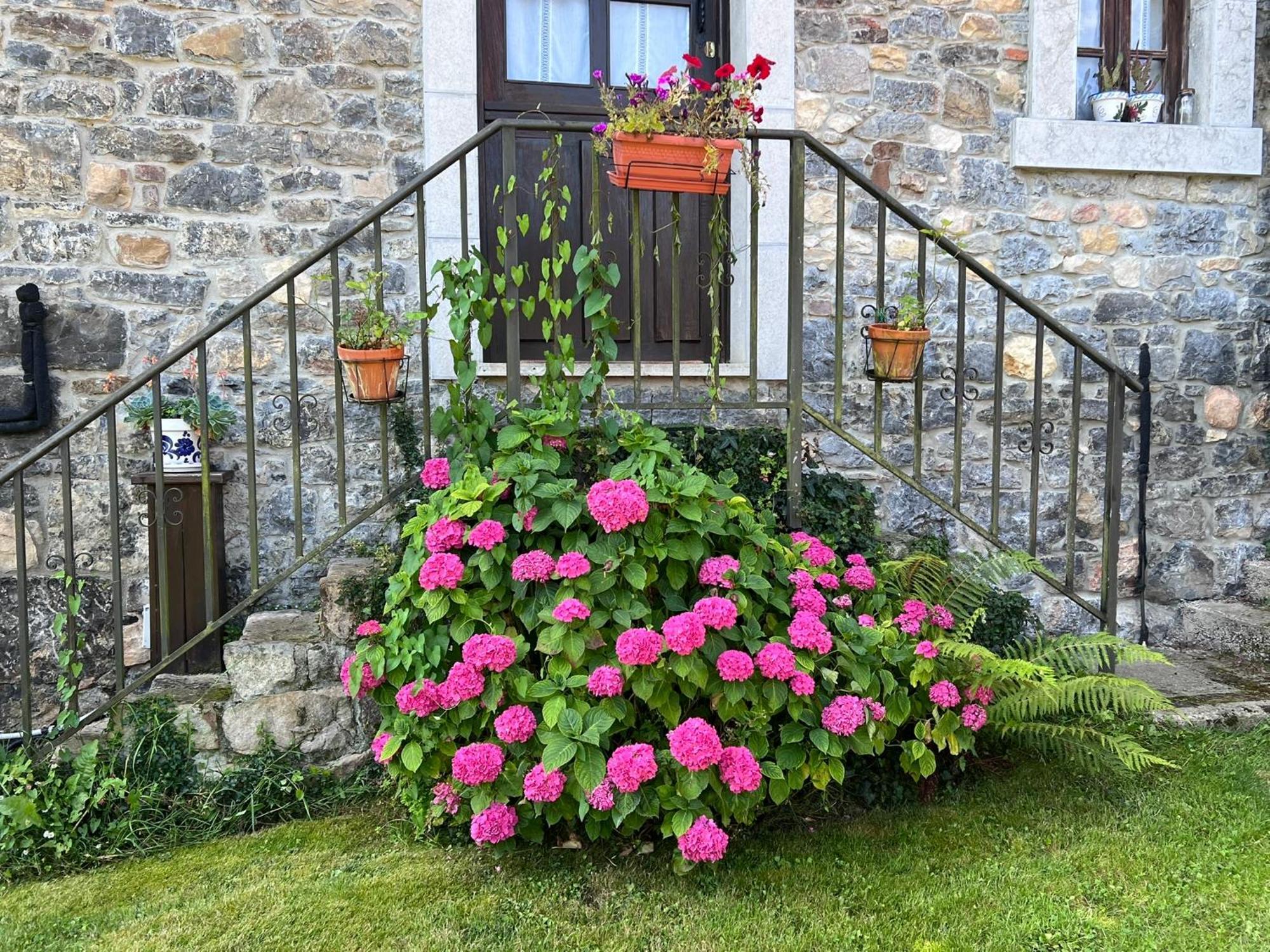 Casa Rural Casa Cerezal Cangas de Onís Exterior foto